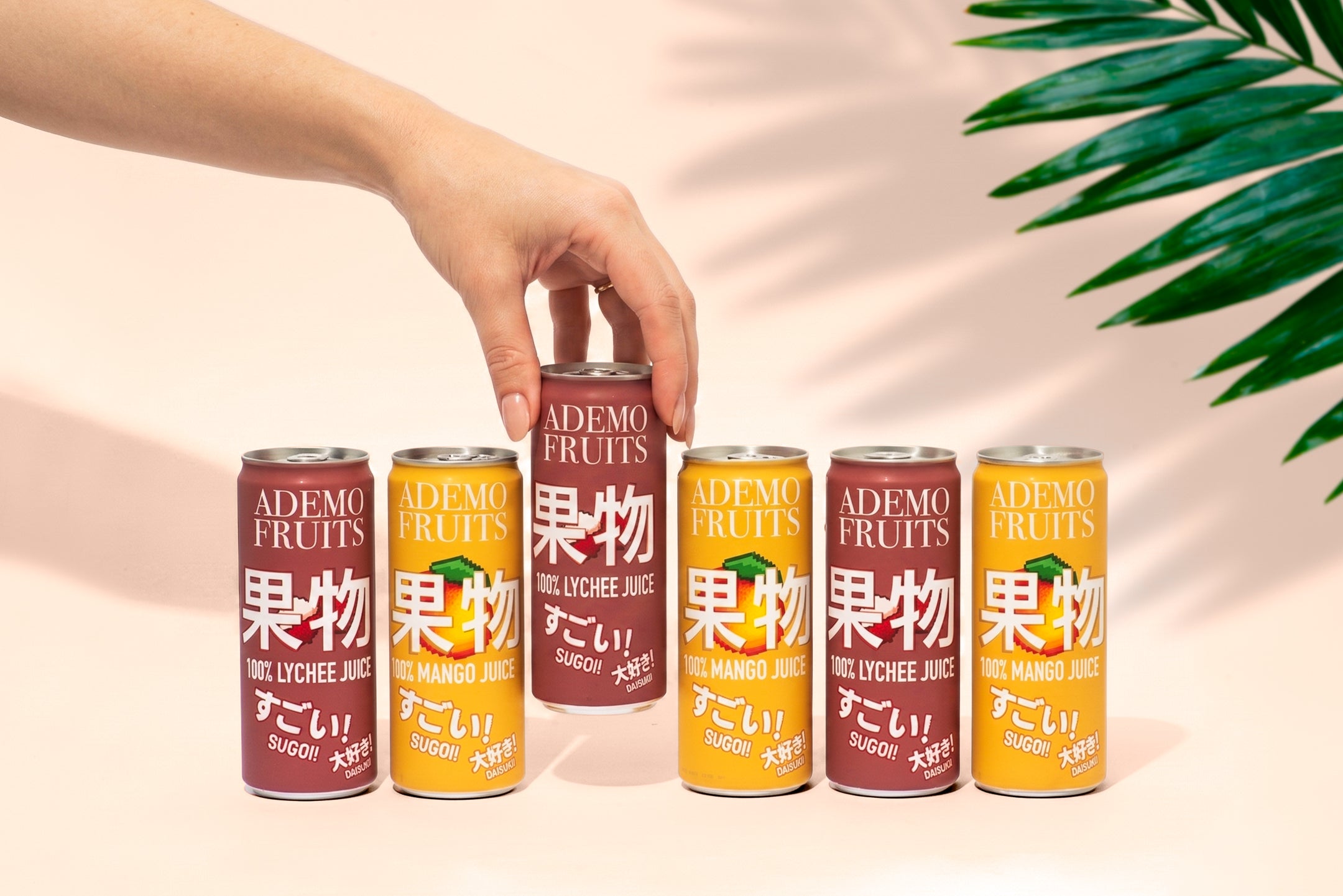 DISCOVERY SET 100% FRUIT JUICE | 4 CANS